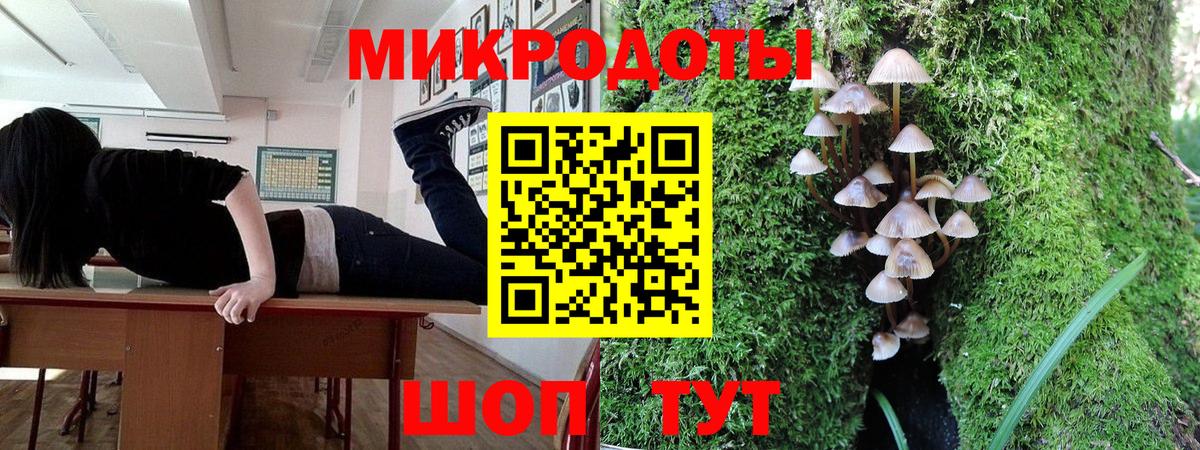 Торжок  Псилоцибиновые грибы Cubensis  Вход с VPN 