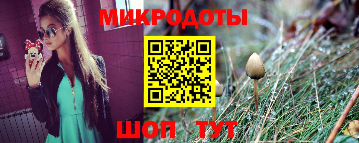 Псилоцибиновые грибы Cubensis Торжок